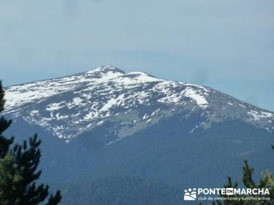 El Puerto del Reventón - San Ildefonso - Rascafria; rutas senderismo zamora